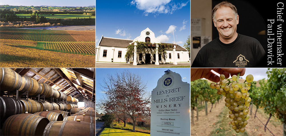 レヴレット IQ ワイン