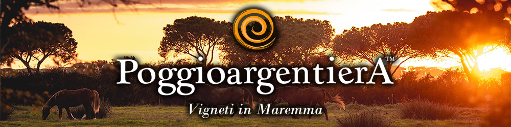 ポッジョ・アルジェンティエラ　ワイン
