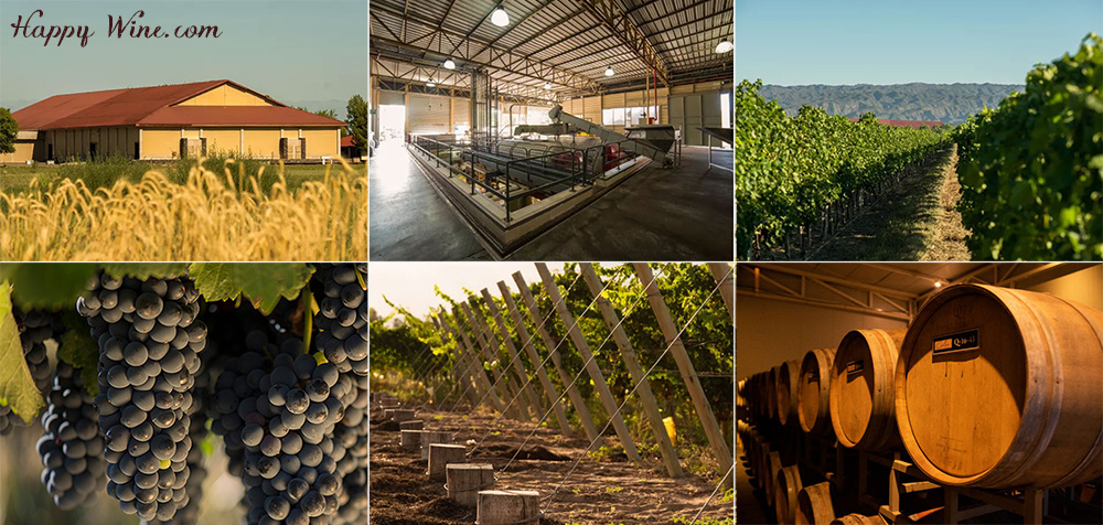 ボデガス・カリア カリア ブリュット ナチュール(白.泡) ワイン