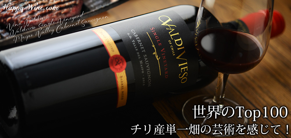  【新入荷】◎バルディビエソ　シングルヴィンヤード　マイポ・ヴァレー　カベルネ・ソーヴィニヨン(赤)　750ml