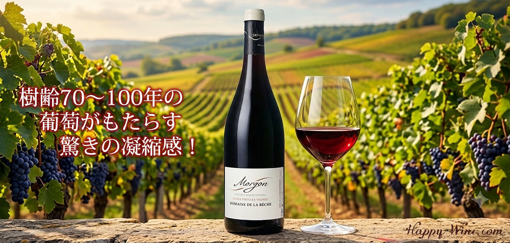 【SALE・新入荷】◎オリヴィエ・デパルドン モルゴン キュヴェ・ヴィエイユ・ヴィーニュ ドメーヌ・ド・ラ・ベッシュ(赤) 750ml
