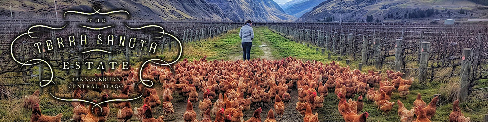 テラ・サンクタ　ミステリアス・ディギングス　ピノ・ノワール(赤)　ワイン