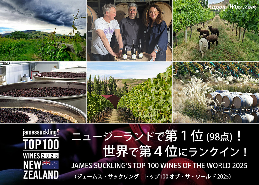 テラ・サンクタ　ミステリアス・ディギングス　ピノ・ノワール(赤)　ワイン