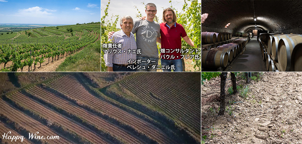 デ・マテイ ミガーラ キュヴェ・レッド(赤) ワイン