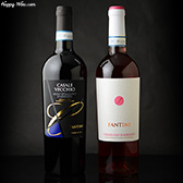 定期販売　ワイン　ファンティーニ+ファンティーニ