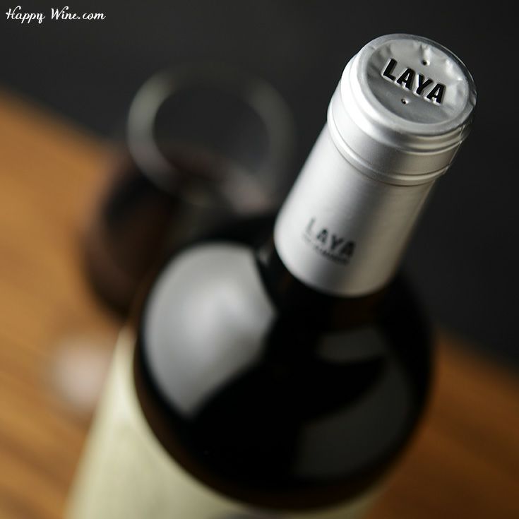 ボデガス・アタラヤ　ラヤ(赤)