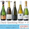 【送料無料】デイリー・スパークリングワイン 750ml×5本セット