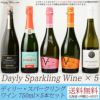【送料無料】デイリー・スパークリングワイン 750ml×5本セット