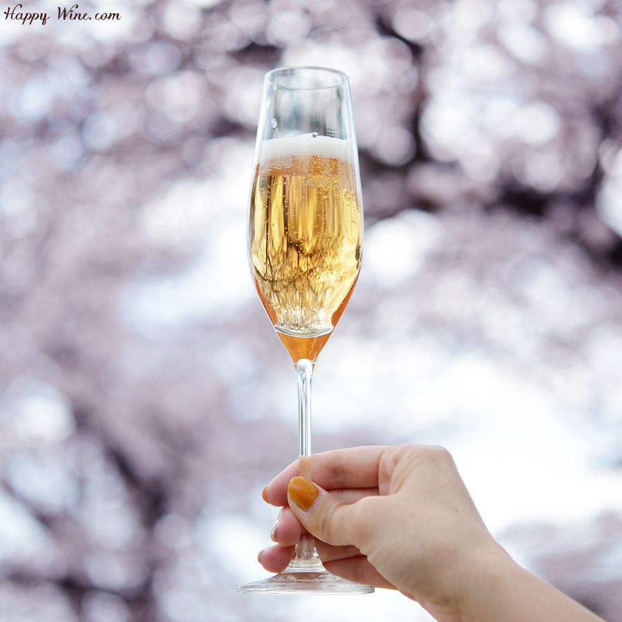 【ノンアルコール】ピエール・ゼロ　ロゼ・スパークリング(ロゼ泡ノンアルコール)