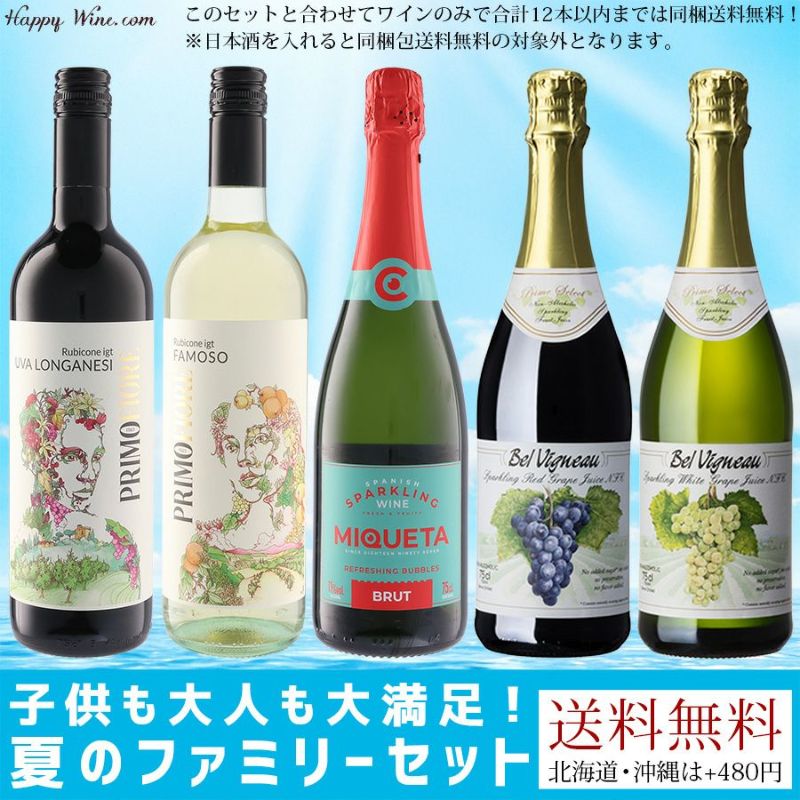 【送料無料】子供も大人も大満足！夏のファミリーセット